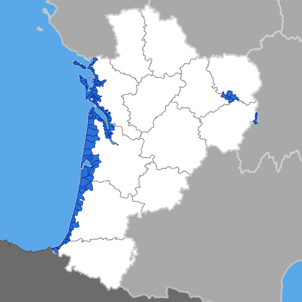 overview