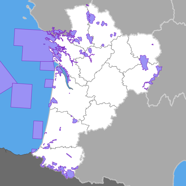 overview