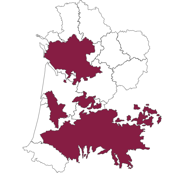 overview