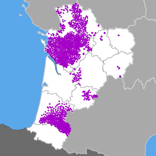 overview